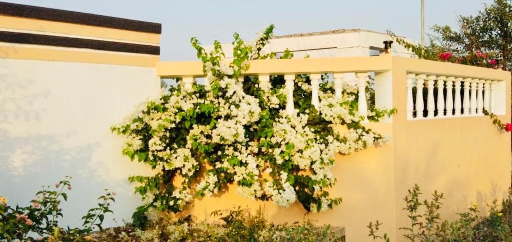 Royal Meadows - Igatpuri Bungalow C Esterno foto